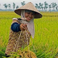 Võ Nhật Kiều