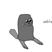 Pepple