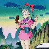 Bulma