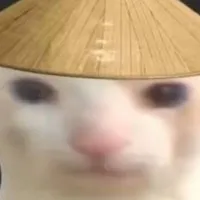 Thằng bạn thân