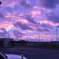 t/g