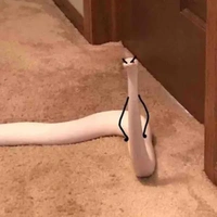 đây là thì tự mà đoán