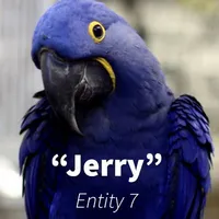 Entity7