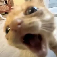 me