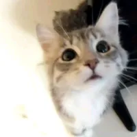 Tác giả slay top 1 thế giới-vũ trụ🥵😈