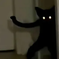 C00lkidd
