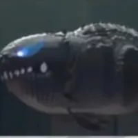 KUN