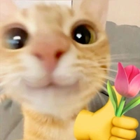 tác giả —>✿