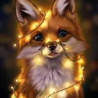 Cáo 🦊- tác giả