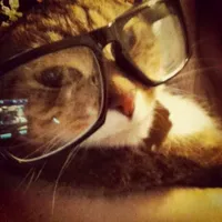 𝙢𝙞𝙨𝙨𝙪.