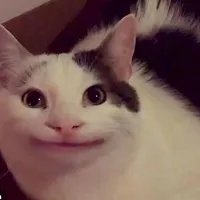 méo