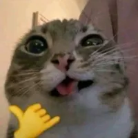TÁC GIẢ