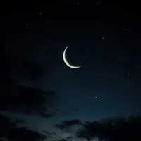 ---