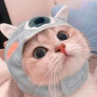 Tác giả