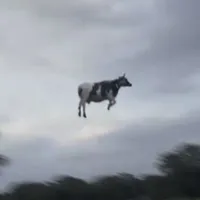 ?