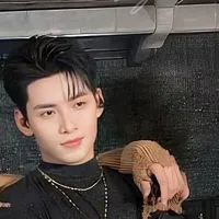 Huỳnh Hoàng Hùng - Gemini