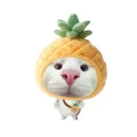 9 điểm vật lý😎