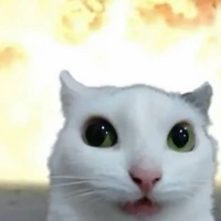𝘾𝙝𝙖𝙣𝙘𝙚