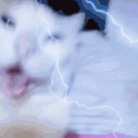 𝙎𝙝𝙚𝙙𝙡𝙚𝙩𝙨𝙠𝙮