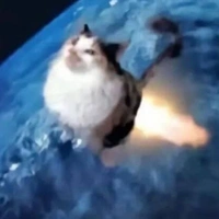 𝙂𝙪𝙚𝙨𝙩𝟭𝟯𝟯𝟳