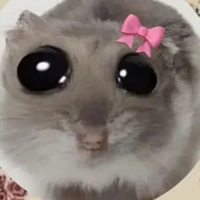 𝙣𝙖𝙨𝙝𝙖𝙩𝙧𝙖