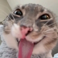 T/g ngu toán, anh, hóa, lý, sinh