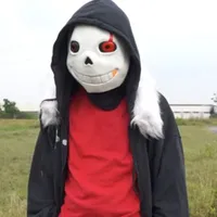 sans Fel ps
