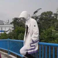 Error Sans 505.