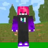 hiha enderman