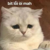 t/g bị điên