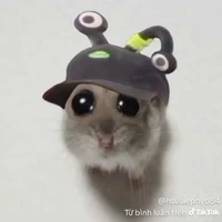 Lụy 23.5🌏☀️👽🌙