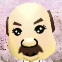 nvp nam
