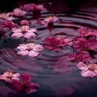 Nhân Vật Quần Chúng | All Nữ |