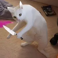 Vệ Sĩ Nhà Mikage | All |