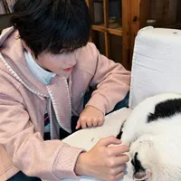 Dương Hàm Bác_YHB