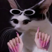 nynek :))