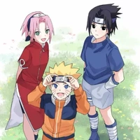 team 7