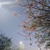 Đa nhân vật nữ