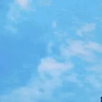 Đa nhân vật nam
