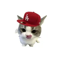 Nguyễn Ct Tường " Nàng  "