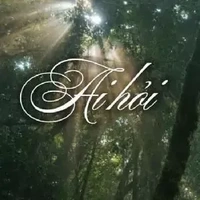 「 hội tv - bss 」