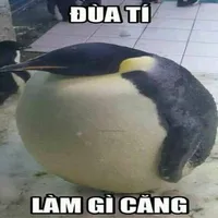 T/G Tổng (đài)tài