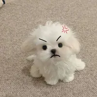 Dan~zan