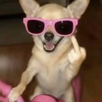 tg đâyyyyy