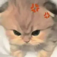 All