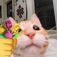 tác giả