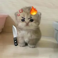 ???