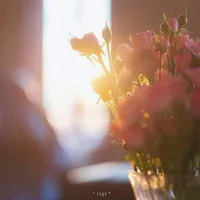 Nhân Vật Phụ • Nữ •