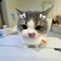 Tác dảaa