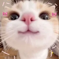 tgiả cutee s1tg